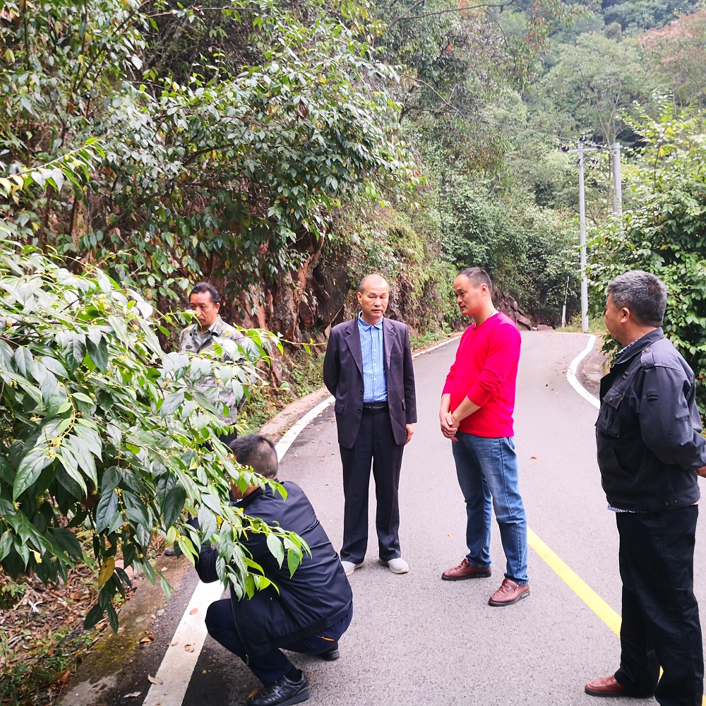 林业学院党总支赴安远开展技术咨询志愿服务活动5.jpg