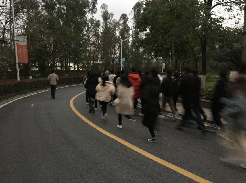 QQ图片20190225151736.png