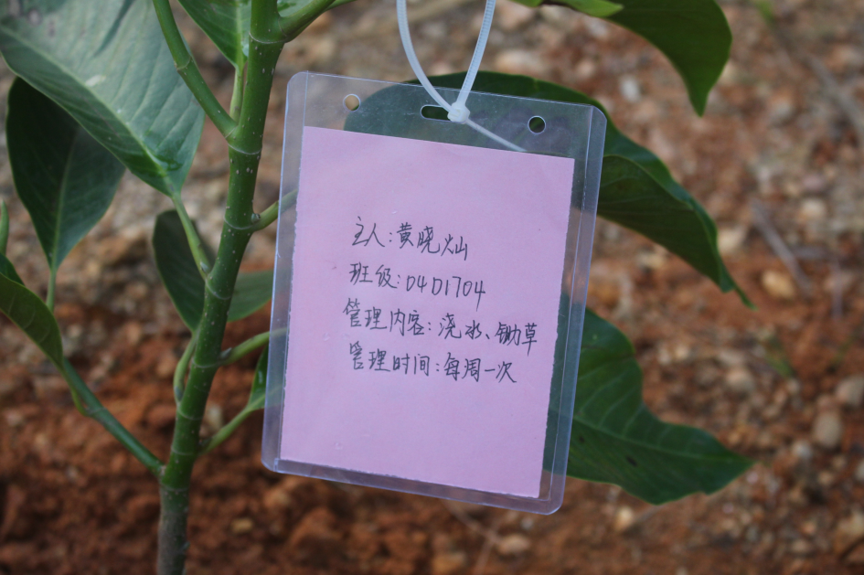 QQ图片20190313195709.png