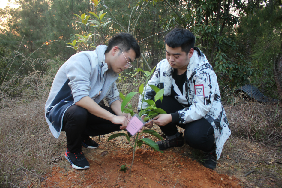QQ图片20190313195700.png