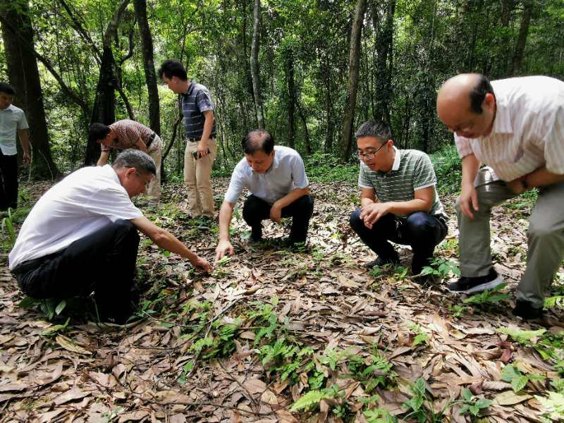 901bc1870ba11ac06e5a13b93bb6aba9.jpg mmexport1593506139794.jpg