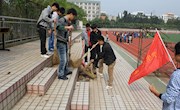 学院学生党员开展“喜迎十八大，创先争优，爱我环院”主题团日活动