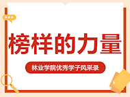 林业学院2024届考研优秀学子风采(四）