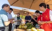 中国侨联基层建设部副部长刘景春一行到我院乡村振兴人才培养实训基地与产学研基地调研