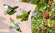 党建引领守初心，林业美景情更浓——林业学院开展“寻秋意剪影”艺术征集活动