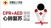 守护生命 救在身边 | 旅游与外语学院红十字救护员培训圆满结束