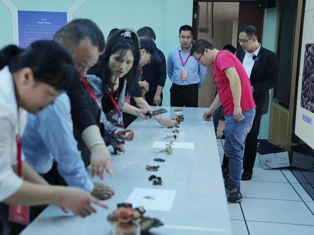 ff7620e138f243efaff9e1f7247de3a4.jpg ff7620e138f243efaff9e1f7247de3a4.jpg