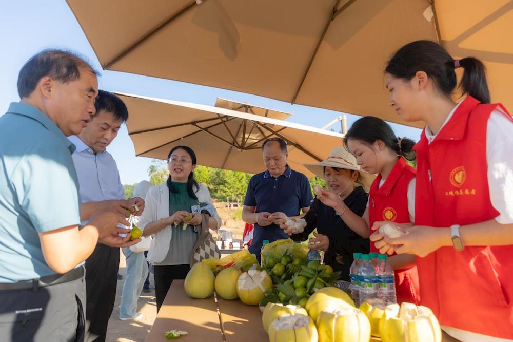 da974a9b23c04d9f8ec3b54ec2cd55e1.jpg da974a9b23c04d9f8ec3b54ec2cd55e1.jpg