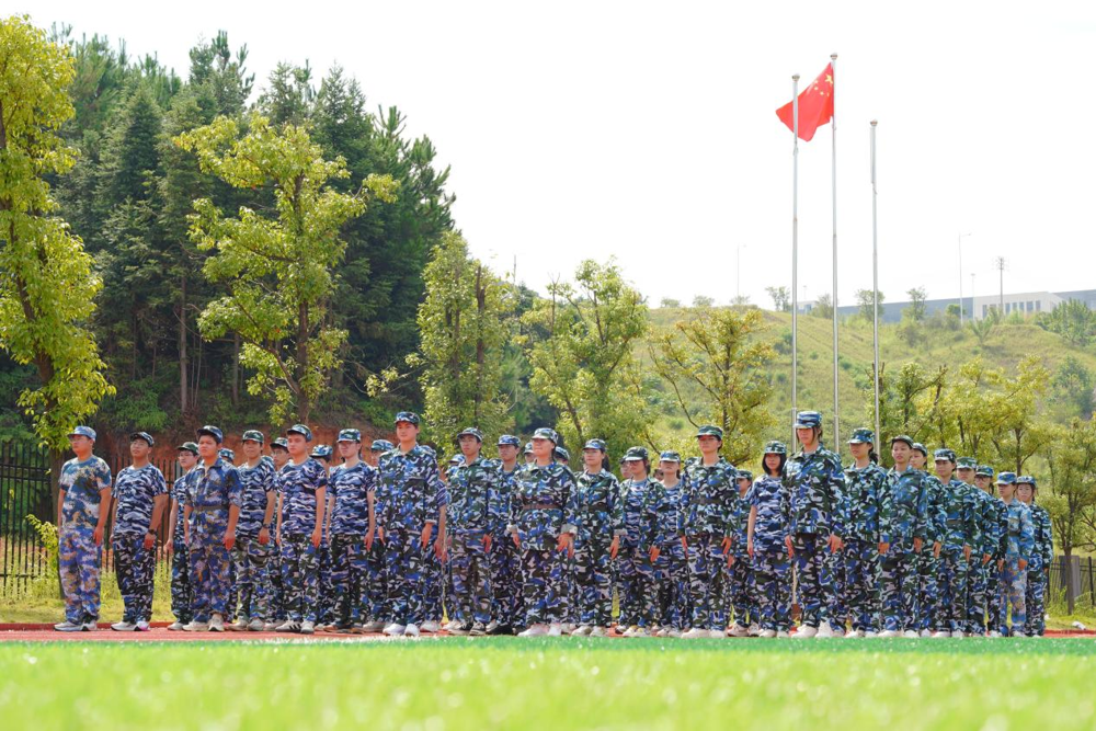 图片 7