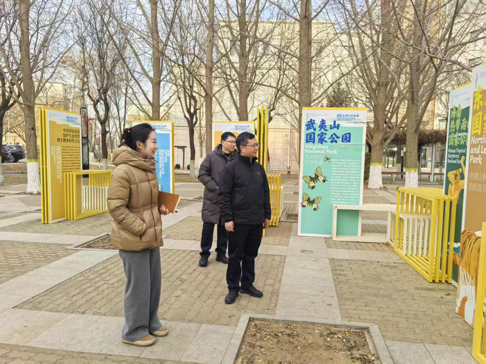图片2