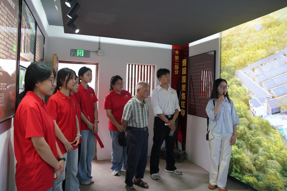 图片3