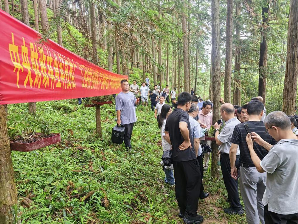 新闻稿照片3