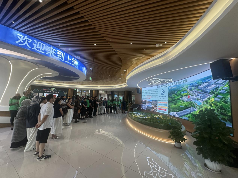 图片2